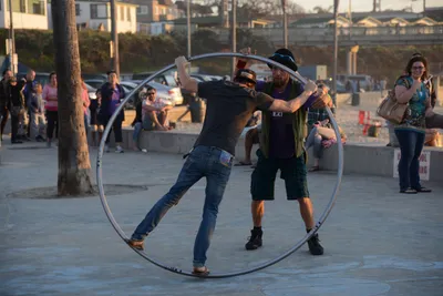 DSC_7105 (Large).JPG